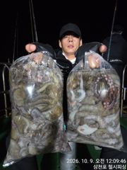 팔포매립지항 첼시피싱 조황 사진