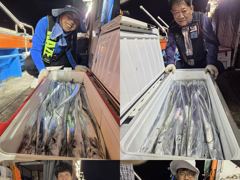 영운항 통영영운호 갈치 조황 사진