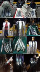돌산항 뉴한사리호 갈치 조황 사진