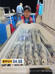 신전항 통영흥부낚시 갈치 조황 사진