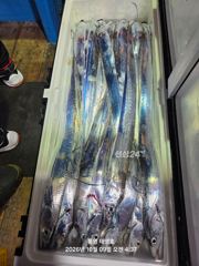 태영호 조황 사진