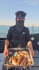무창포항 모데라토호 갑오징어 · 주꾸미 조황 사진