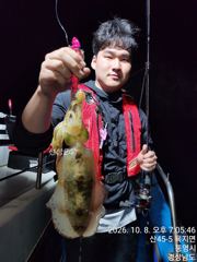 통영대성호 조황 사진