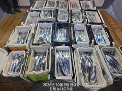 내만 갈치 와우~~오늘도 엄청시리 잡고~~(일욜부터 예약 가능)