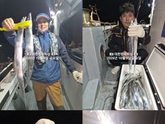 내만갈치~많타많아~~밤새피딩~~담배갑사이즈~예약가능