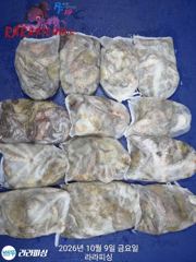 8일(야간문어) 토.일.예약가능 덩어리찿으로갑니다