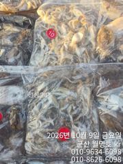 비응항 월명호 조황 사진