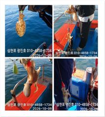 삼천포항 삼천포광진호강선장 주꾸미,문어 조황 사진