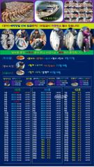 고흥바다낚시114 붉바리 조황 사진