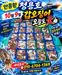 안흥항 청용호 갑오징어 조황 사진