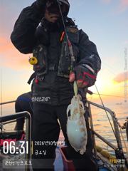 군산마블피싱 갑오징어 조황 사진