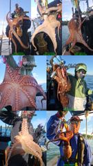 오늘 야간 문어 출조 확정 (자리 여유)