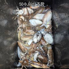 방포항 바다사랑호 10월9일 갑오징어 조황