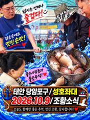 당암포구 성호좌대 우럭 · 참돔 조황 사진