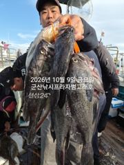 9일,"대광어"날마다~대박시즌~싸이즈 좋은 대광어들~~참돔,우럭등~~군산낚시프라자 범고래호