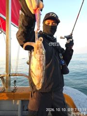 비응항 군산나래호 갑오징어 조황 사진