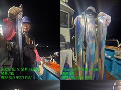 (14석통영명륜3호 )왕갈치 계속 호조황 쿨러에 듬뿍 고생하셨습니다 (계속예약가능 010.9550.7951)