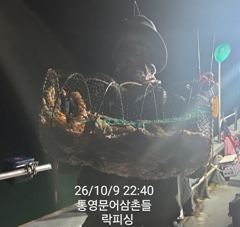 (문어)대박시즌 마릿수 씨알 한 방에 잡자~락피싱(11일 예약)