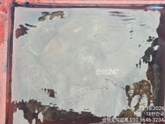 돼지뚱 갑오징어 잡으로 오세요 씨알이 예술이에요