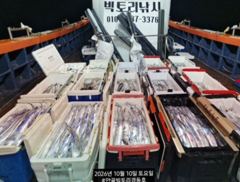 안골항 경동호 갈치 조황 사진