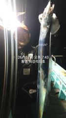 영운항 최강리드호 갈치 조황 사진