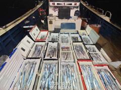 여수갈치[대교낚시] 모두 대장쿨러 만땅땅땅 갈치,,오늘,내일~빈자리 아주 많음