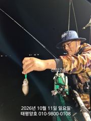 10월 11일 일요일 갑오징어 실시간 조황입니다.