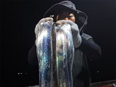 신전항 세린호 갈치 조황 사진