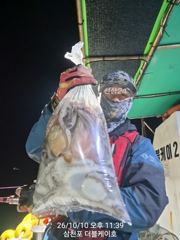 [사천] 삼천포 문어, 주꾸미 조황!