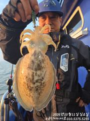 [군산아시아호] 갑오징어 굿 실시간10/11
