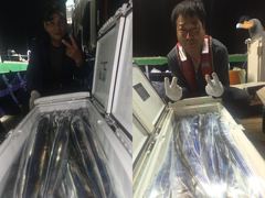 회진항 포르투나호 갈치 조황 사진