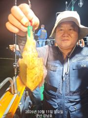 10월11일 군산 강남호 갑오징어실시간 조황 (12일 월요일 갑오징어 예약가능합니다 )