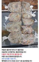 [사천] (((해림3호)))금일 씨알 조항입니다