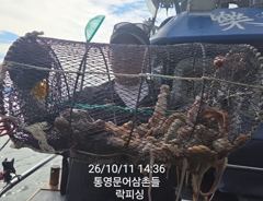 (문어)많多많아 원도권 중량급들 마구마구~락피싱(12일 예약)