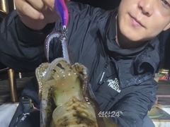 내만무늬팁런 1.5k,1k외 고구마급들 총 200수~!!내일 예약가능