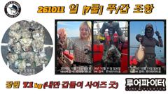 비인항 루어파이터호 갑오징어 · 주꾸미 조황 사진