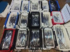 내만 갈치 손맛 찐한 호조황이 또 이어지고~~(오늘2자리,월욜부터 예약 가능)