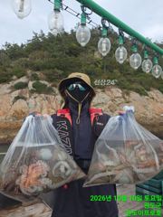 완도항 캡틴이프로호 돌문어 조황 사진