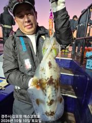 감포항 에스코트호 방어 · 삼치 조황 사진
