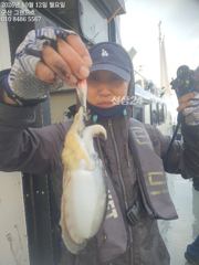 비응항 군산낚시프라자 갑오징어 조황 사진