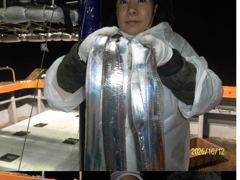 [여수,광양] 10/12 여수대박호 백도권갈치 조황입니다 수요일부터 자리여유있…