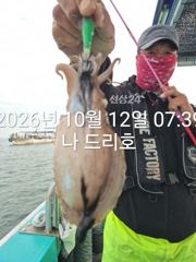 비응항 나드리호 갑오징어 조황 사진