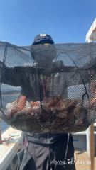 가조도권 돌문어 씨알 장난없네요~!! 키로키로키로오바~!! 초대박