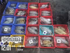 [통영] [팁런]k,k,완전무시급들싸이즈"굿"(화요일출항)