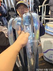 속천항 라코호 갈치 조황 사진