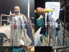 행암항 대한민국피싱 갈치 조황 사진