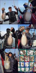 10월11일 뉴써니호 갑오징어 마릿수 대박 조황 입니다~~!!