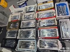 와우~13일새벽,내만칼치4지 용가리까지 어마어마하게 퍼담고~초대박.수,목욜예약가능~