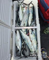 (씨스타호) 삼치 바디훅인 줄 알았더니… 알고 보니 방어 훅!아~~~