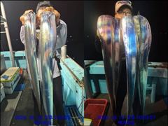 영운항 백가피싱 갈치 · 한치 조황 사진